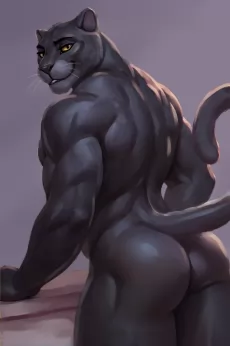 黑豹 by 时间猫