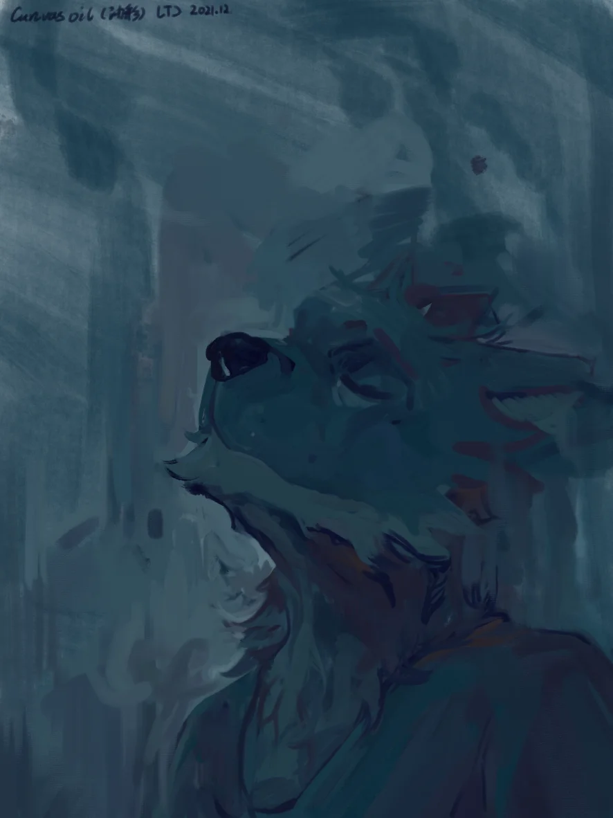 感受（） by lllll, 狗