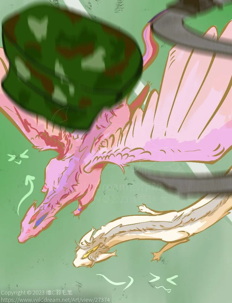 军训结束了！！！ by 羽毛砂糖