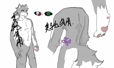 单子