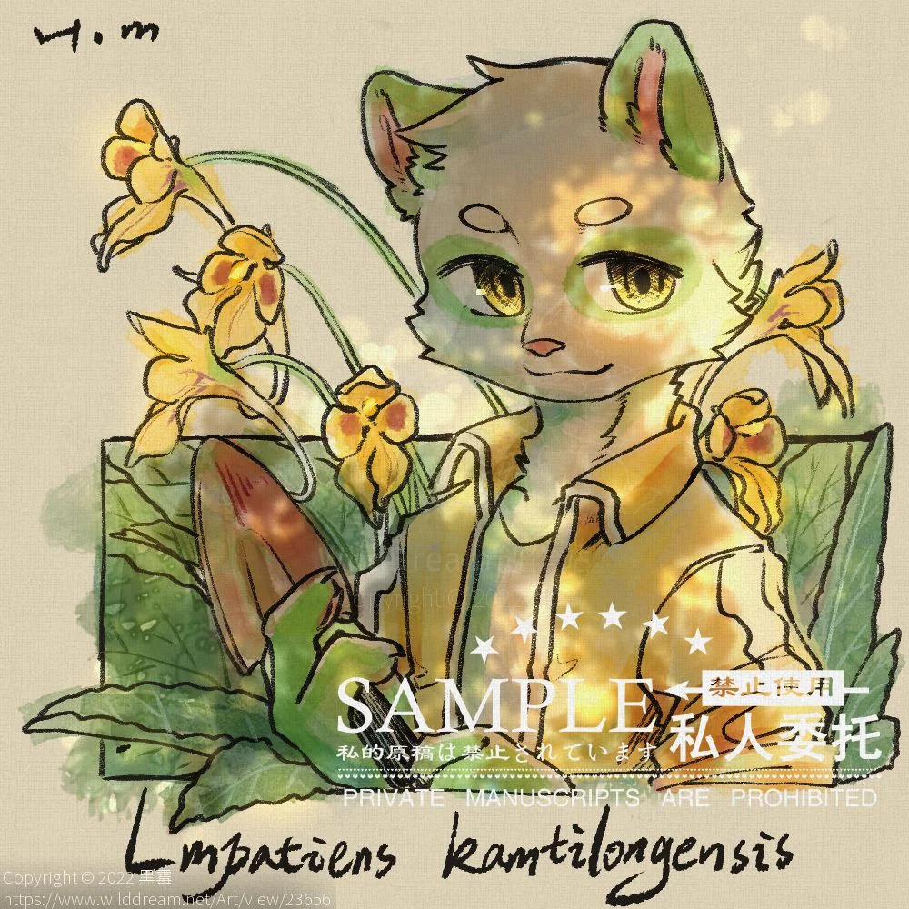甘堤龙凤仙花 by 黑霉, furry