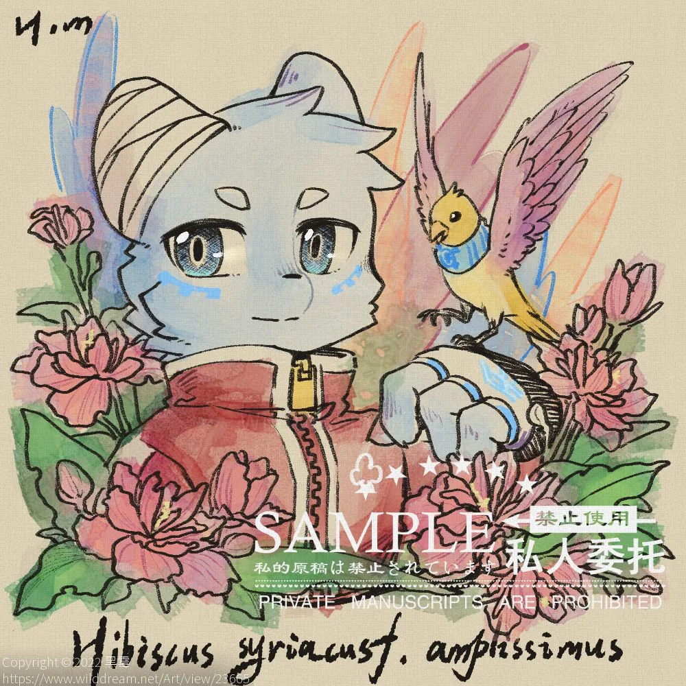 粉紫重瓣木槿 by 黑霉, furry