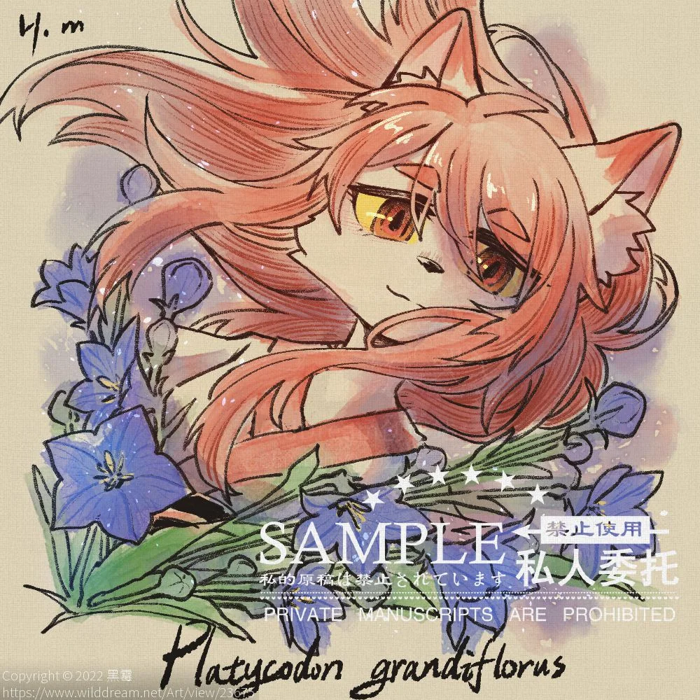 桔梗花 by 黑霉, furry
