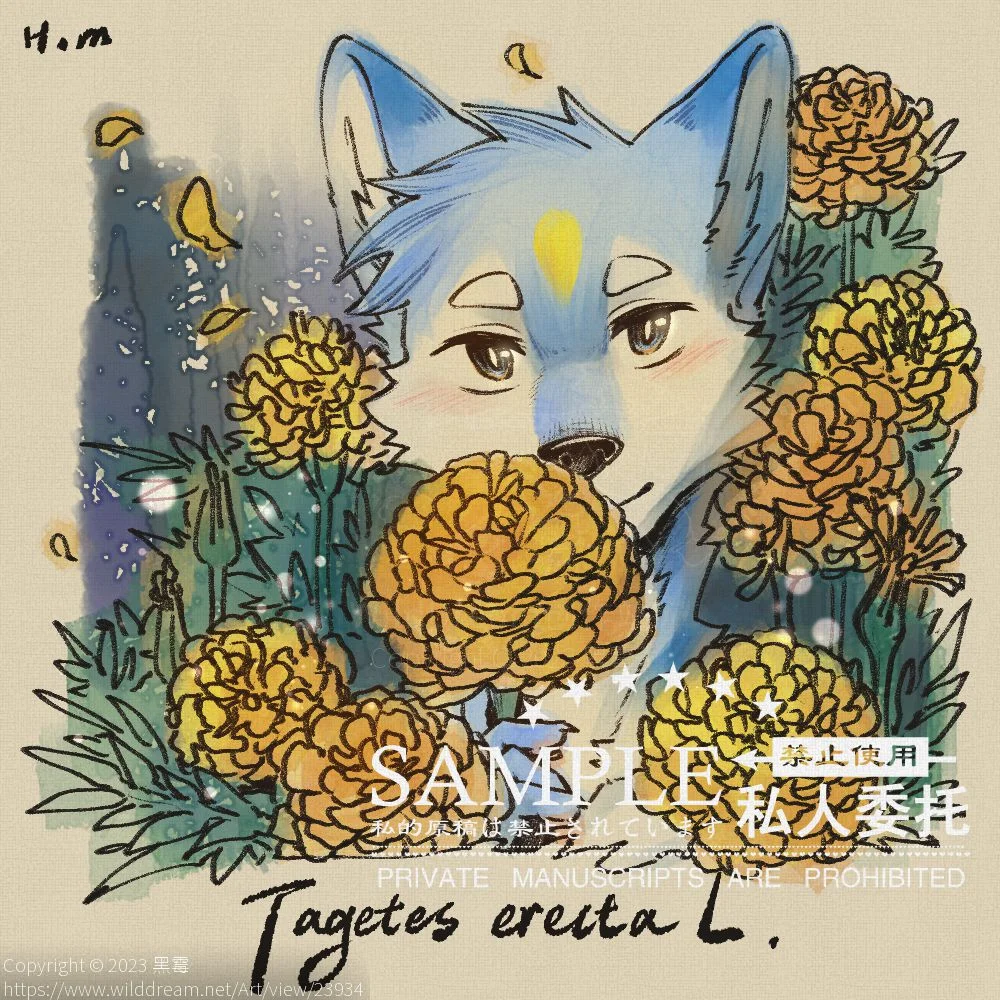 万寿菊 by 黑霉, furry, 犬