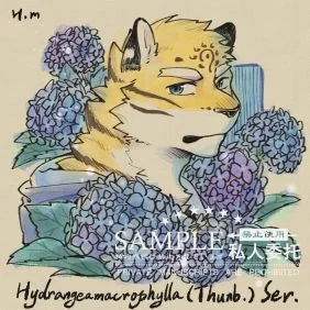 蓝边绣球花