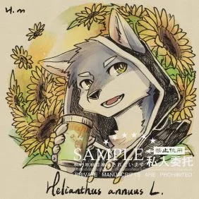 向日葵7