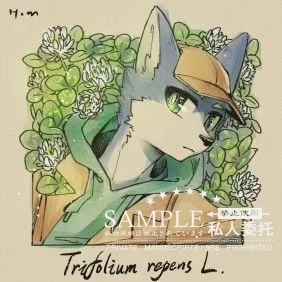 白车轴草