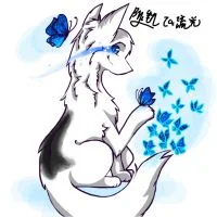 和流光的交换