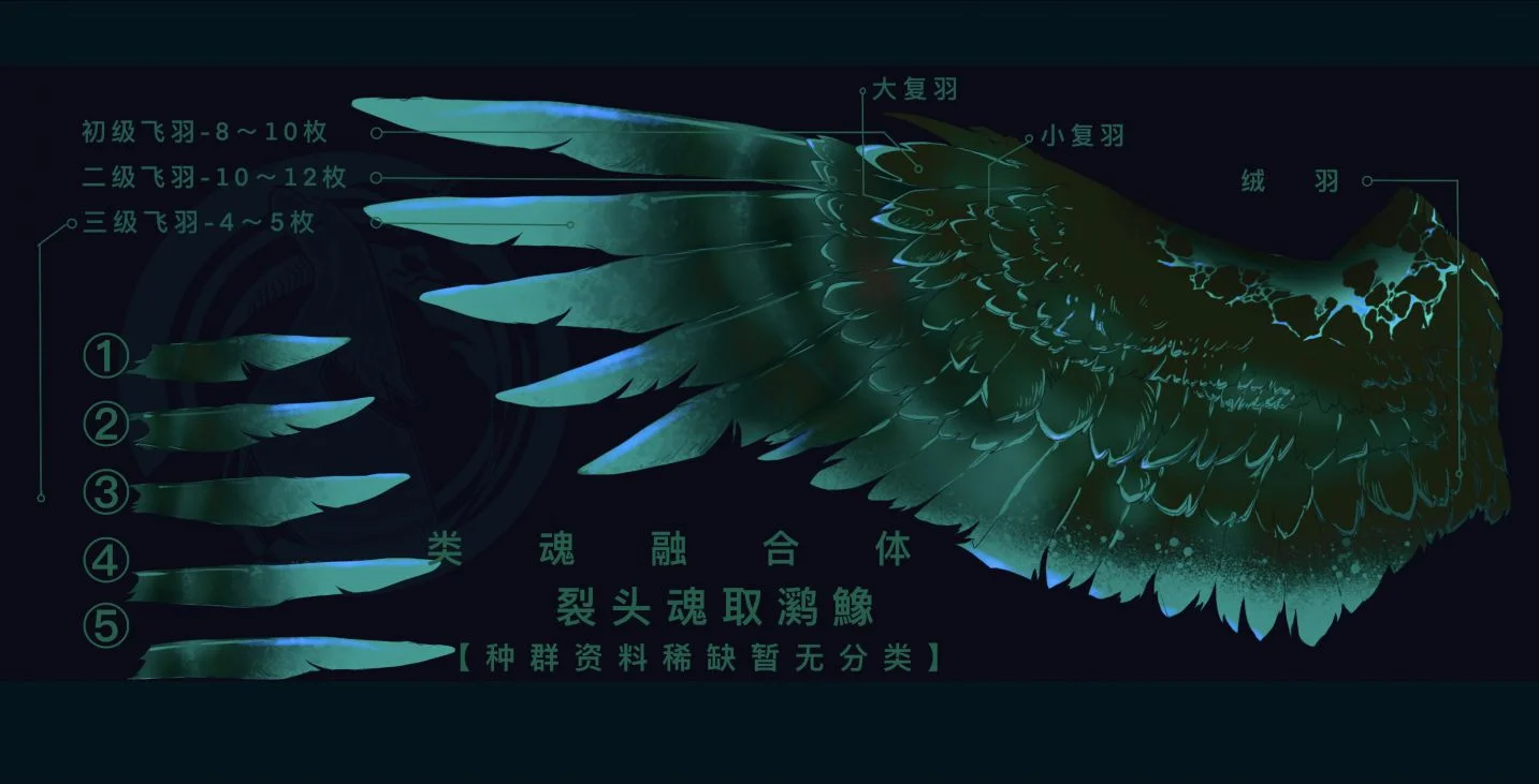 4DF3E449-7CF7-类魂融合体-裂头魂取㶉鱌「羽毛结构分解」【研究报告】  by 井0927一Y號生物研究所0002薯