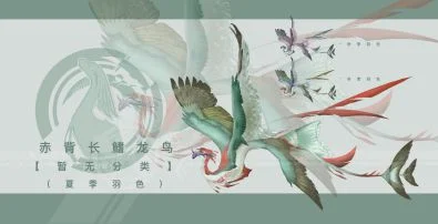 赤背长鳍龙鸟「翼脚纲」【暂无分类】（夏季羽色）