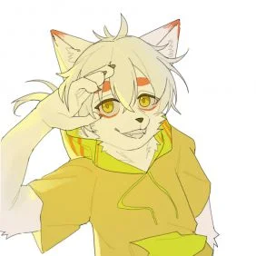 汤面