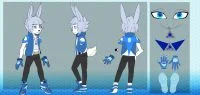 伯斯