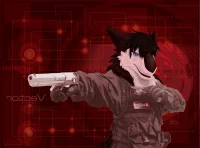 耍槍 