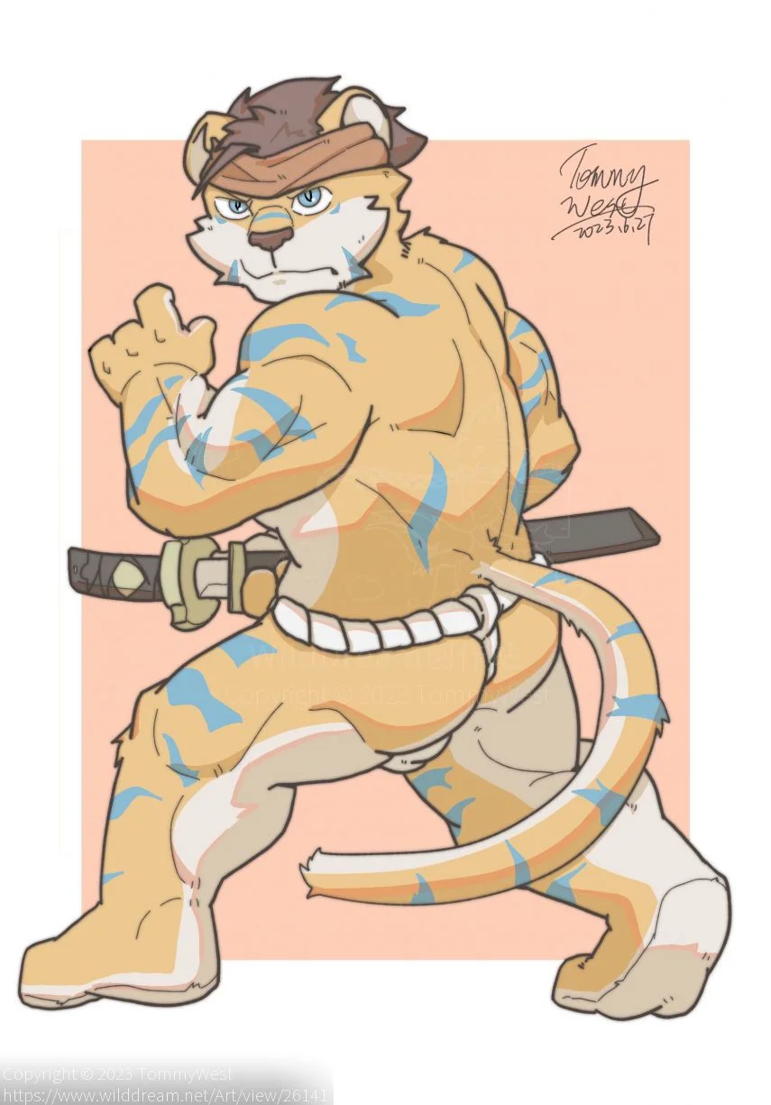 委托雷诺 by TommyWest
