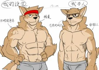 对比
