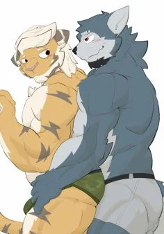 睿智朔风拆分