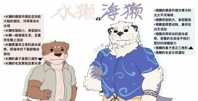 水獭VS海獭 by TommyWest