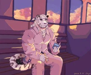 猫的列车