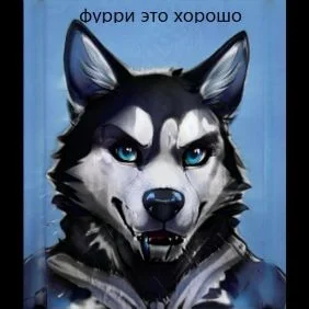 СОБАКА