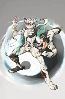 九太极 by 狼毛球