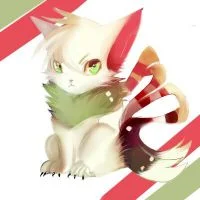 BF家的孩子