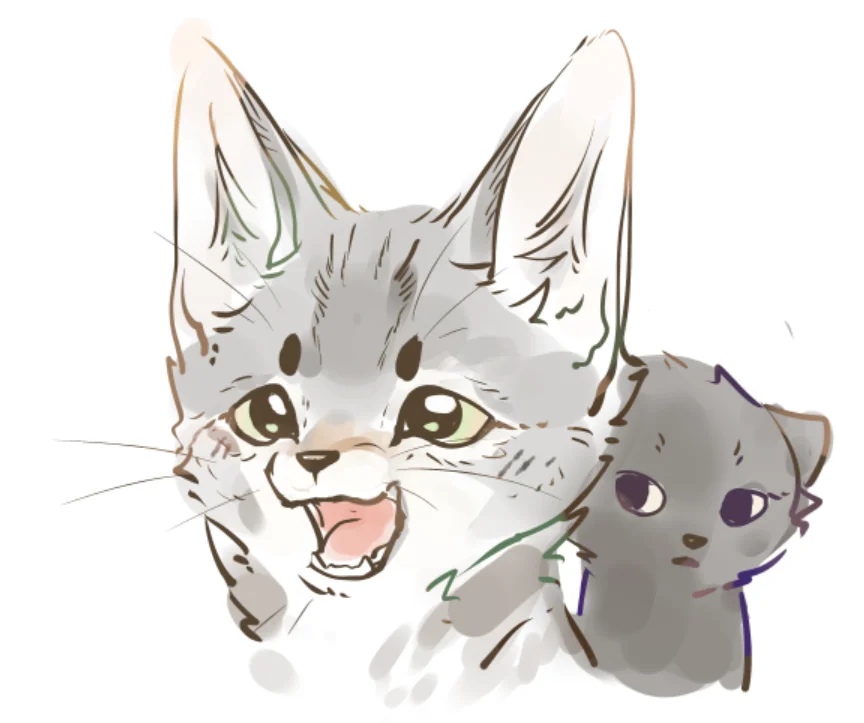小猫咪 by -KawaL-, 猫