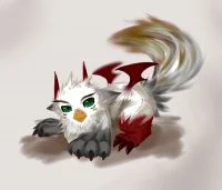 猫头鹰jk