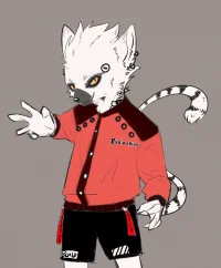 狐猴