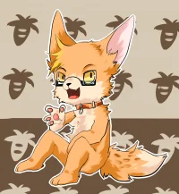 furry上的交换