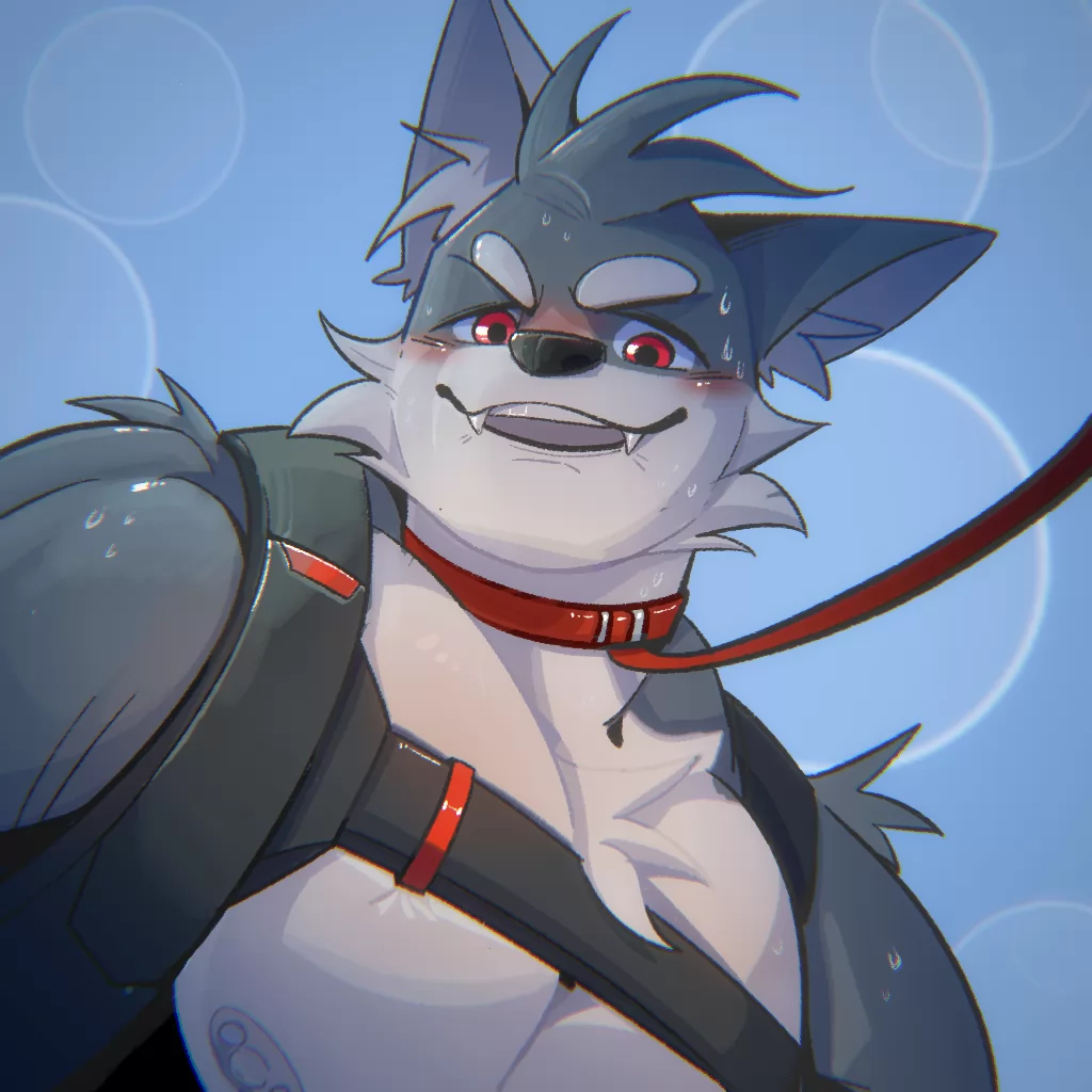托托 by 清仓菲斯, furry