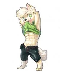 近期委托
