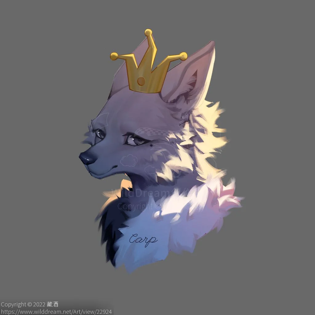 红太狼 by 藏酒