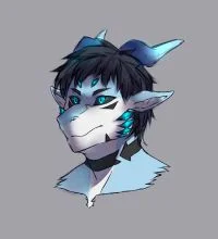 1751123龙设
