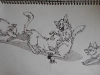 DSCN0462