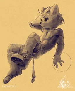 球队主将