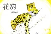花豹