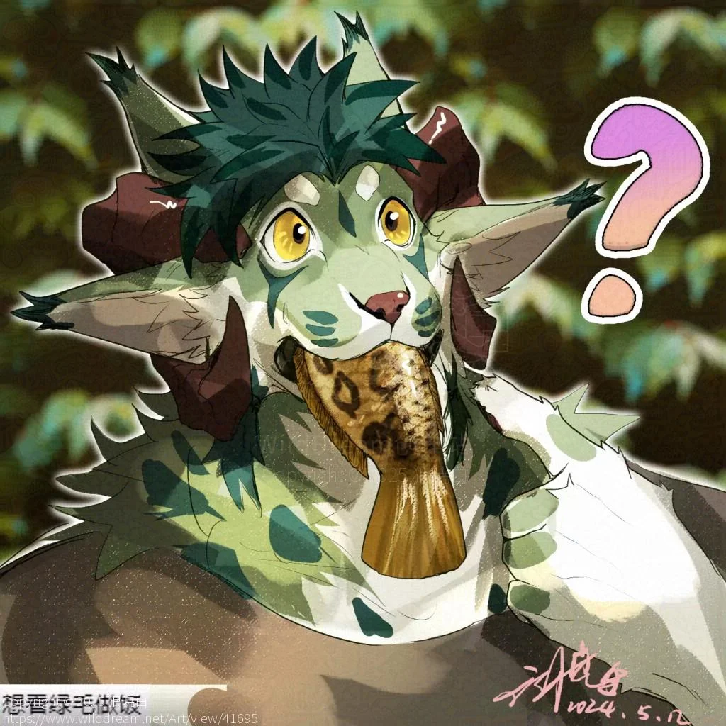 四耳做饭 by 狼暁白, 狼暁白的OC