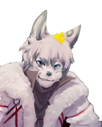 局部 by 狼暁白