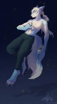 星屑