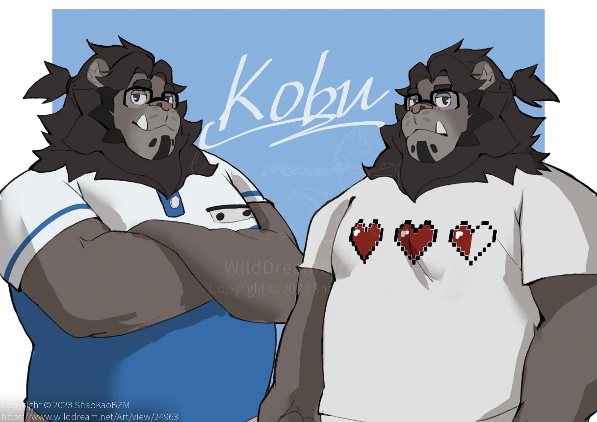 WTDL的KOBU by ShaoKaoBZM