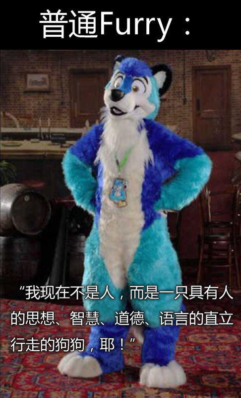 普通furry的特点