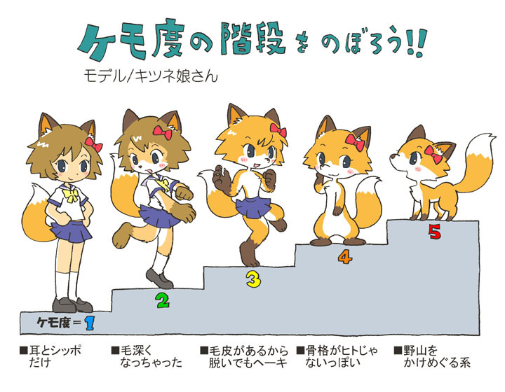 ケモ度の階段をのぼろう!!